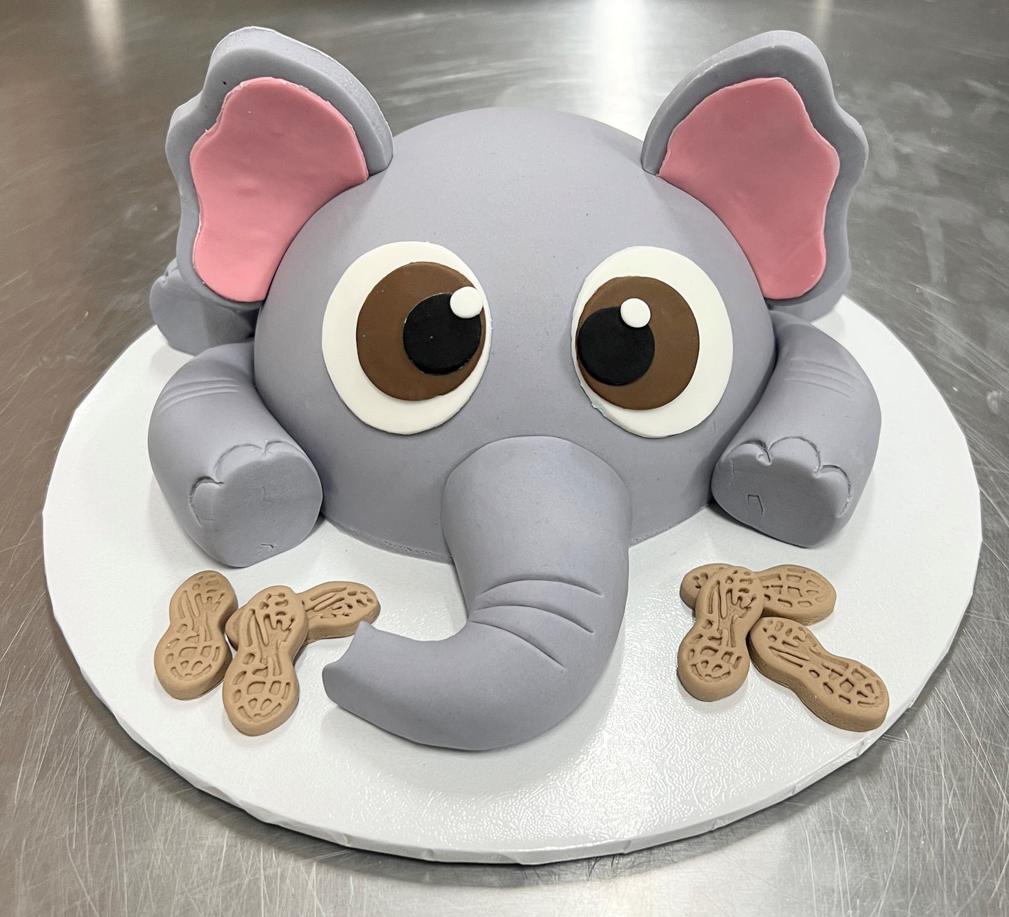 Cake in the box - Complete Starter Kit - Choose your design