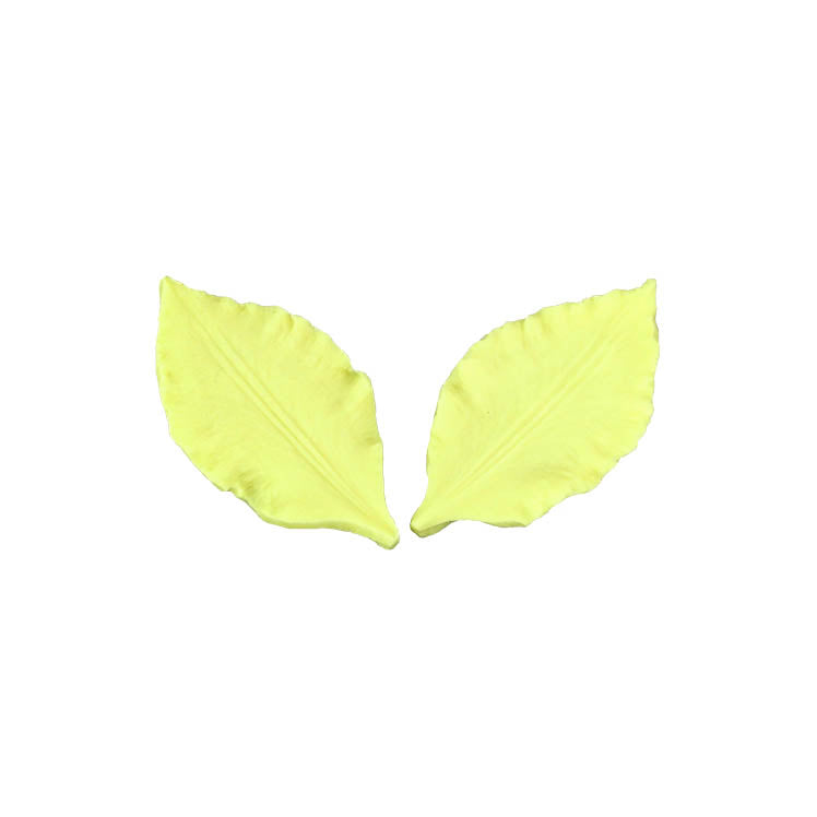 CLEMATIS PETAL VEINER