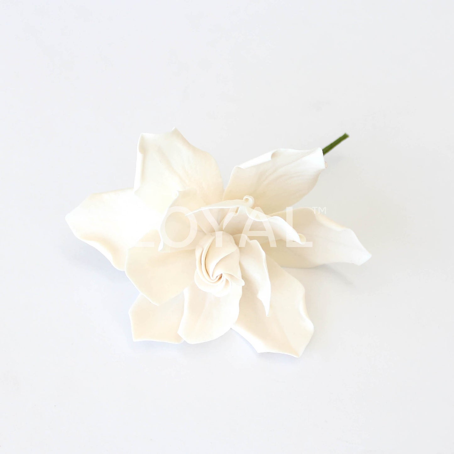 GARDENIA PETAL VEINER