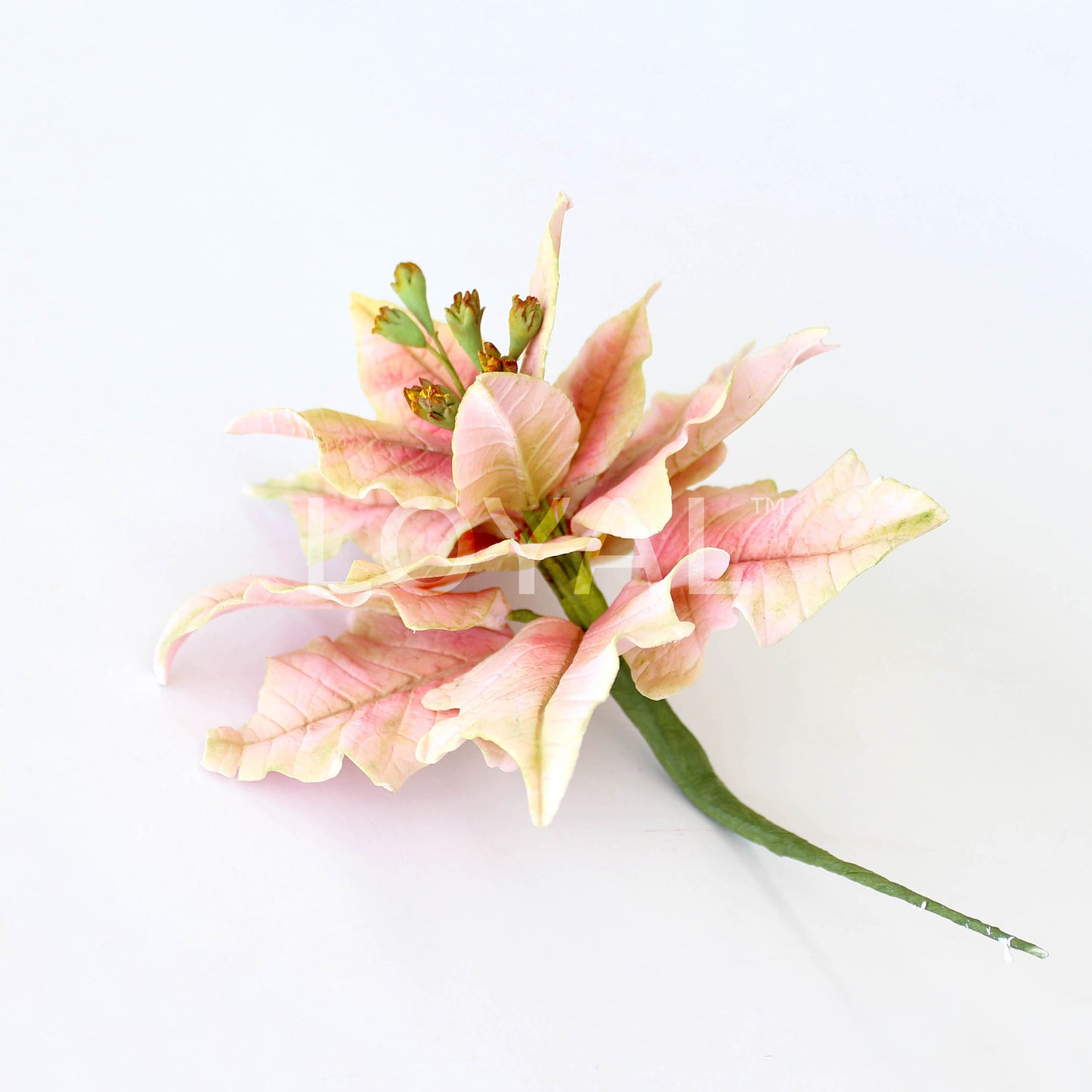 POINSETTIA PETAL CUTTER