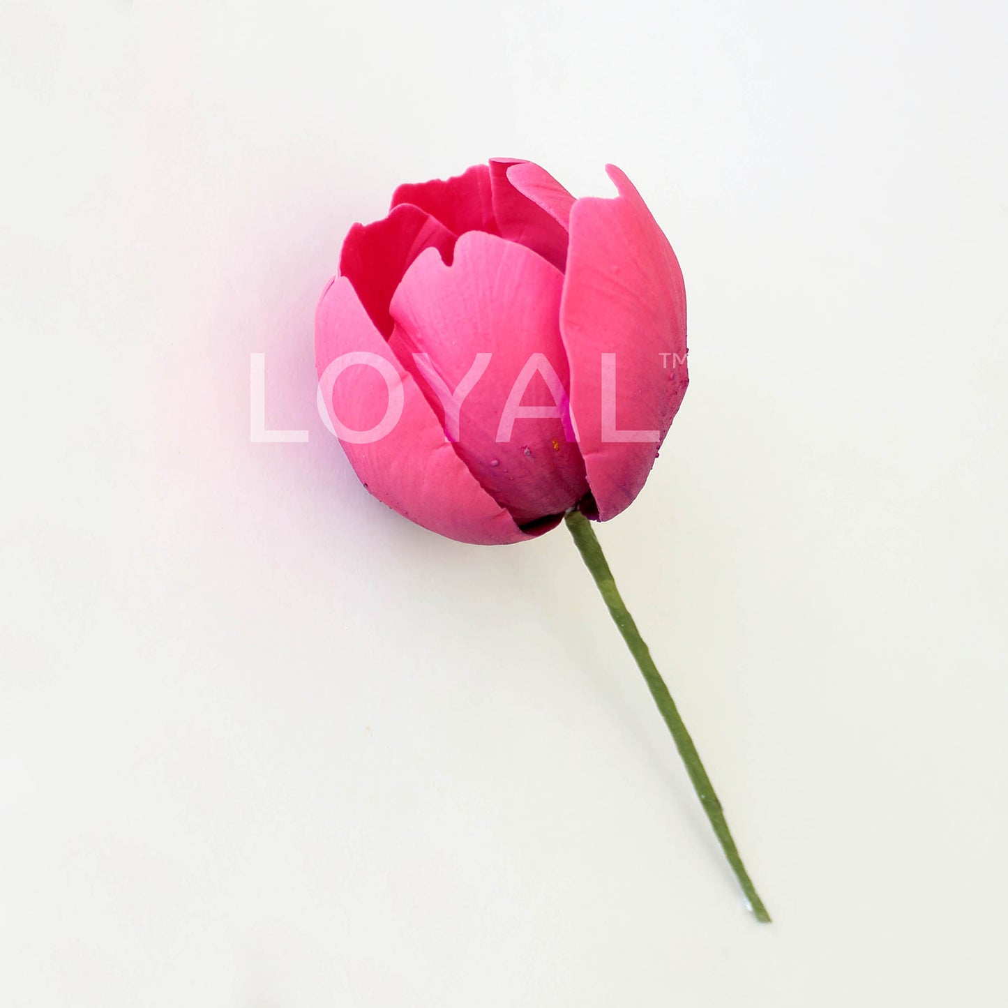 STANDARD TULIP PETAL VEINER