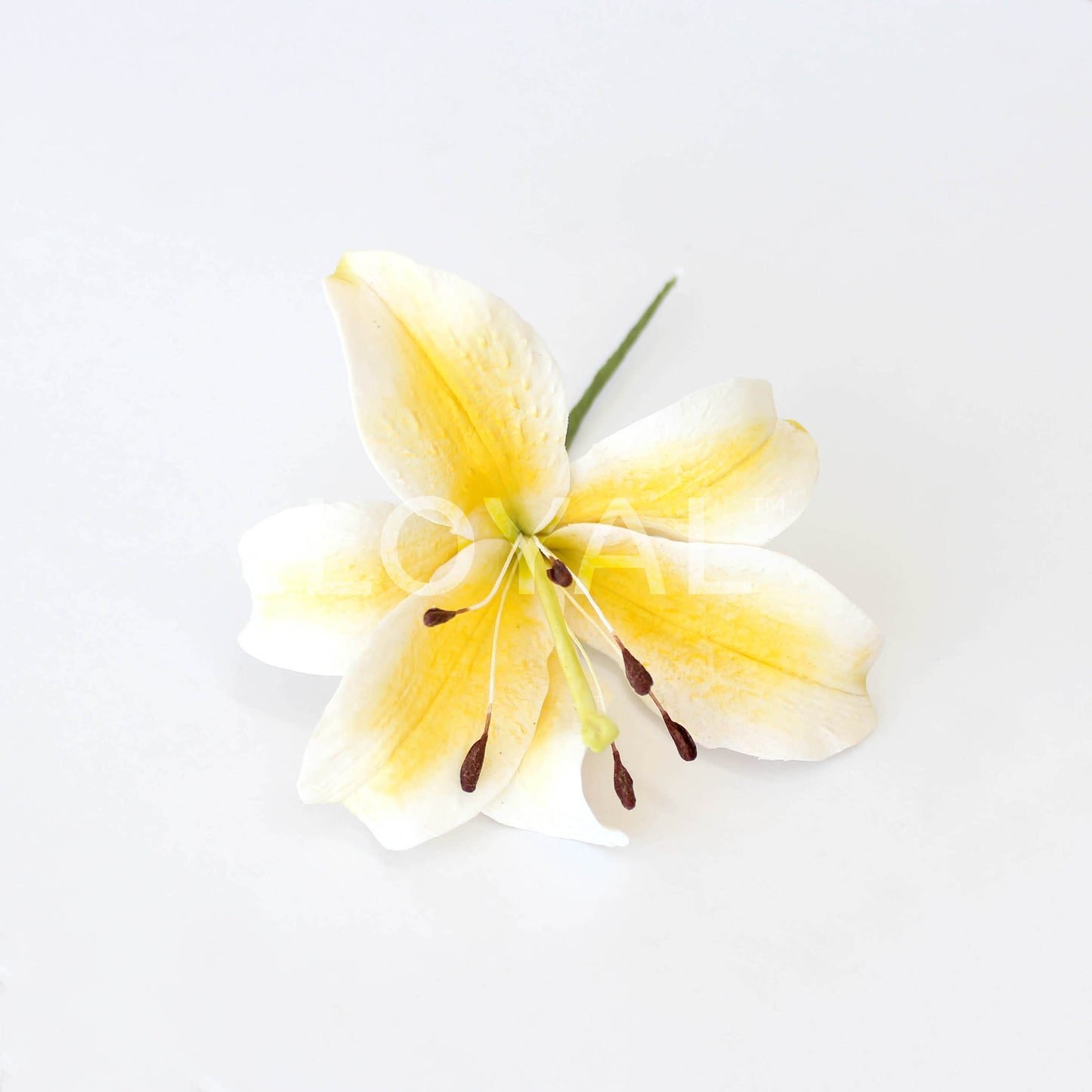 TIGER LILY PETAL CUTTER