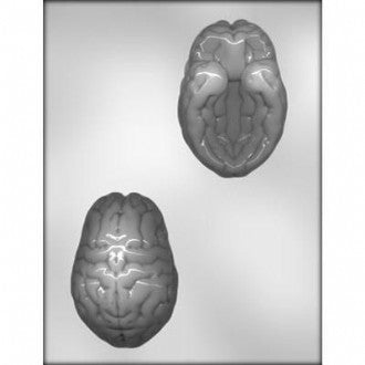 Brain 3D Mould plastic