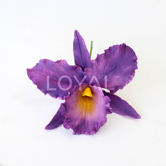 CATTLEYA ORCHID PETAL CUTTER