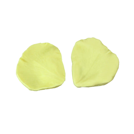 GARDENIA PETAL VEINER