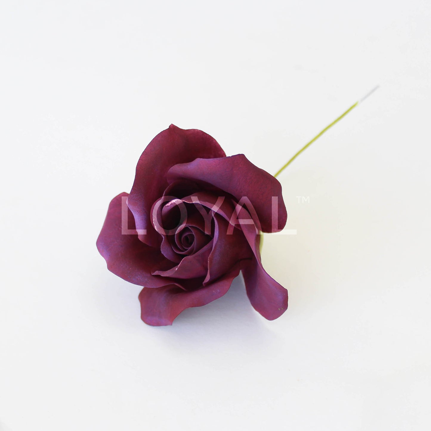 LARGE ROSE PETAL VEINER