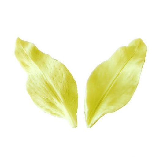 TIGER LILY PETAL VEINER